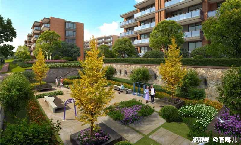 智慧養老怎么“養”?不要讓科技成為老年群體的束縛(圖2) 智慧養老怎么“養”?不要讓科技成為老年群體的束縛(圖2)